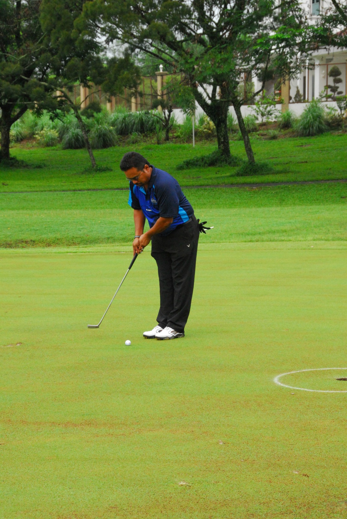 PRO15 157 GOLF DSC 0155.JPG